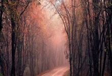 琼托利：所有人都希望共同走出困境，一起思考解决问题.