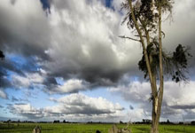 沙特本届18强赛前8场只打进4球，其中3球来自对阵国足.