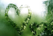 开云：提前轮晋级，日本是首支获得世界杯资格的非东道主球队.