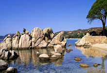 开云：提前轮晋级，日本是首支获得世界杯资格的非东道主球队.